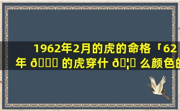 1962年2月的虎的命格「62年 🐝 的虎穿什 🦈 么颜色的衣服好」